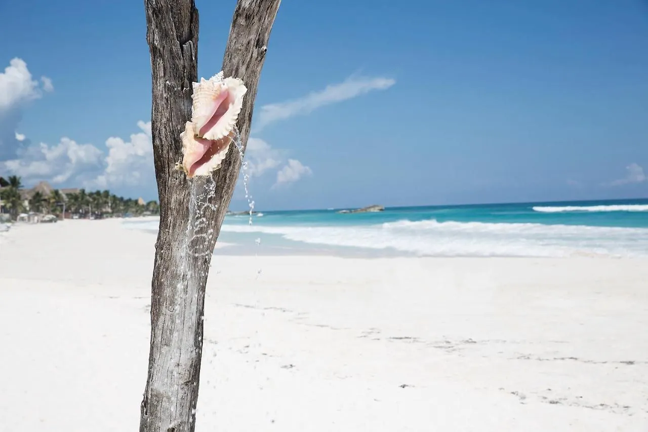 Coco Tulum Hotel